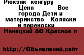 Рюкзак -кенгуру Baby Bjorn  › Цена ­ 2 000 - Все города Дети и материнство » Коляски и переноски   . Ненецкий АО,Красное п.